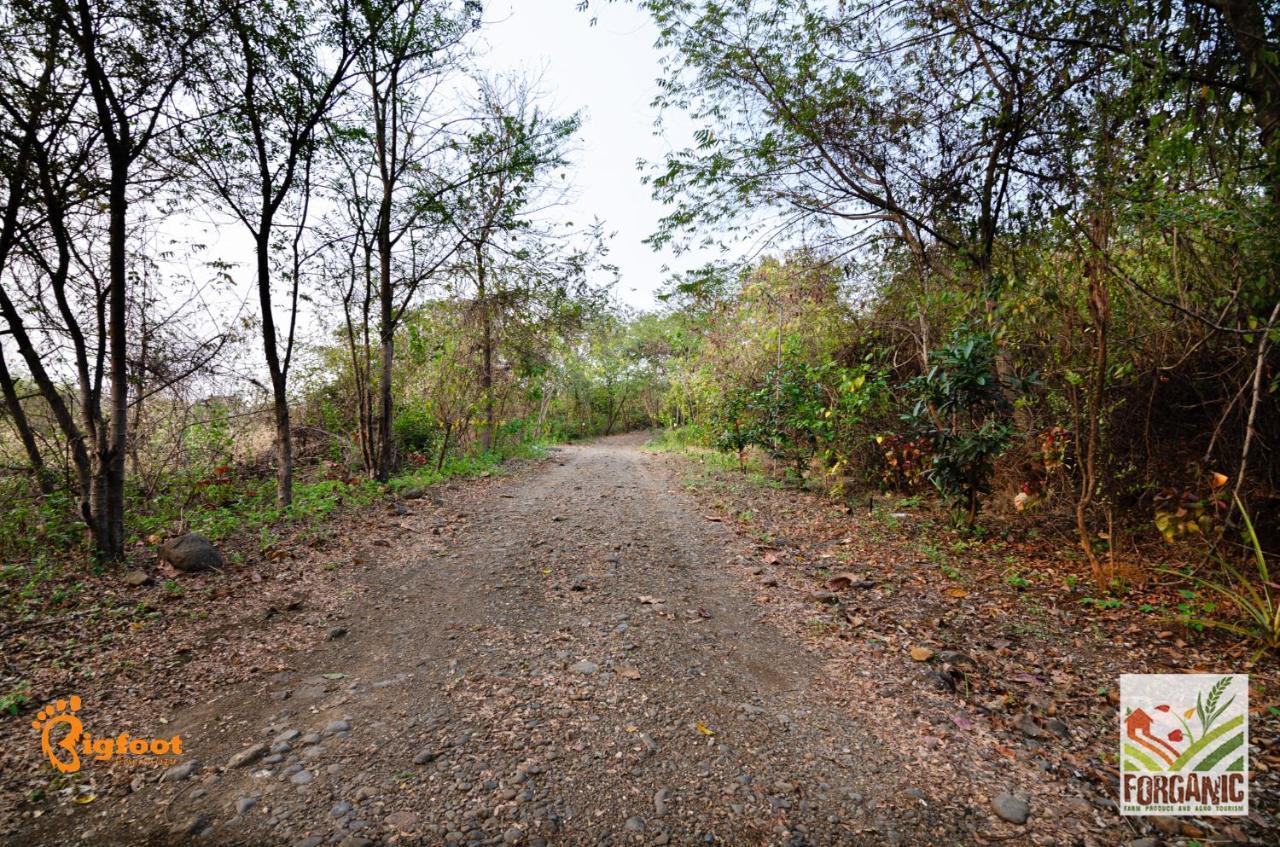 Bigfoot Stay - Forganic Farm & Agro Tourism Khopoli Exterior foto